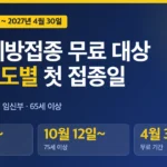 독감 예방접종 무료 대상 2026, 출생연도별 첫 접종일과 기간 확인 독감 예방접종 무료 대상 2026, 출생연도별 첫 접종일과 기간 확인