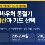 에너지바우처 동절기 금액 계산표, 가상카드와 국민행복카드 선택 기준 에너지바우처 동절기 금액 계산표, 가상카드와 국민행복카드 선택 기준