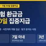 건강보험 환급금 조회·신청 기간, 11월 30일 집중지급 날짜표와 사칭 문자 구별